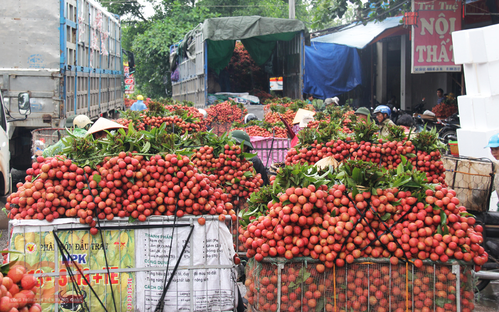 Việt Nam xuất 2,5 triệu tấn trái cây tươi sang Trung Quốc